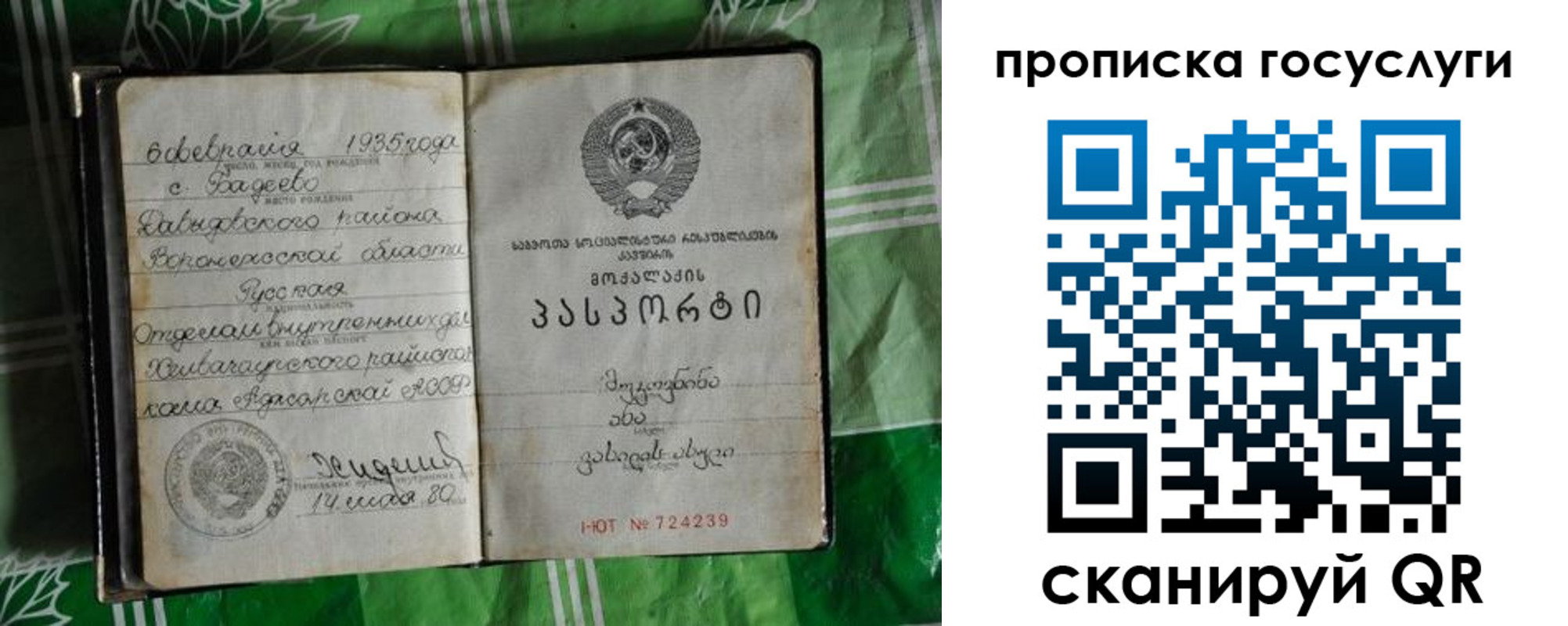 прописка паспорт в Новгородской области